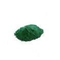 Spirulina – mořská řasa
